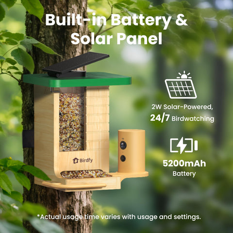 Birdfy tool-free setup for quick installation on wall or pole.