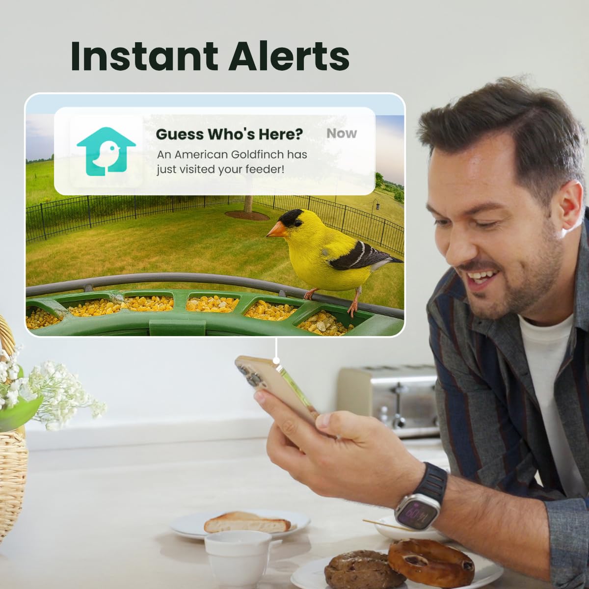 Weather-ready Birdfy camera withstands cold and heat in the backyard.