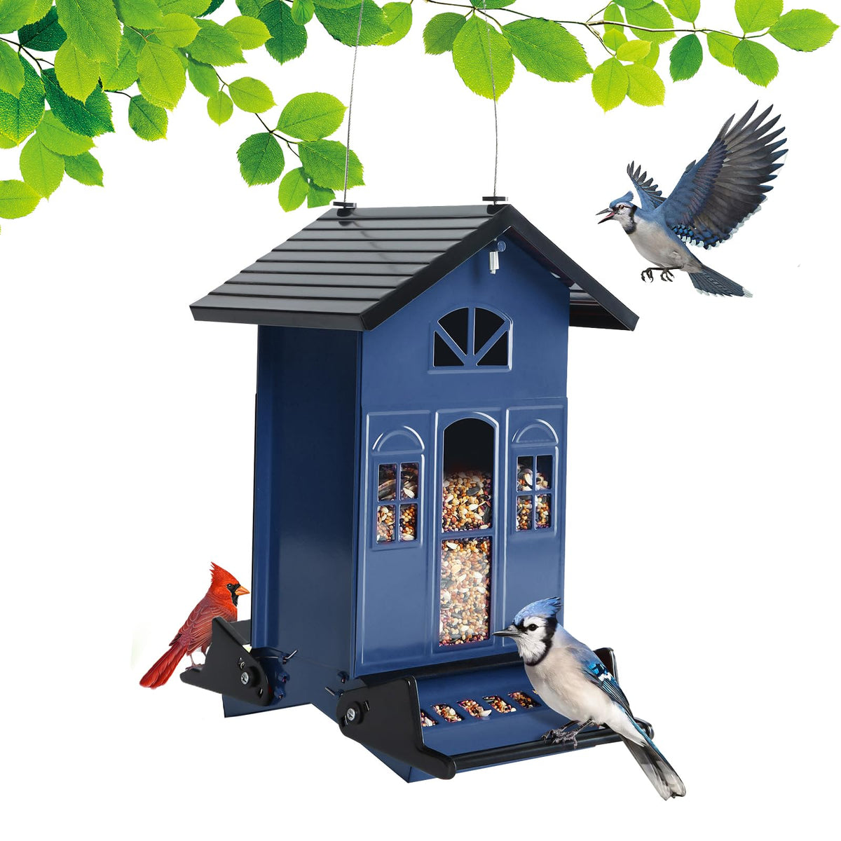 Birdkiss squirrel-proof bird feeder outside with country-house hanging design and 5lb seed capacity.