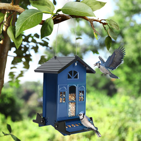 Birdkiss gift-ready packaging for garden lovers and bird enthusiasts.