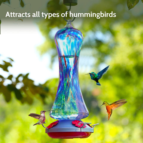 Birdkiss hummingbird feeder with bright colors enhances garden appeal.