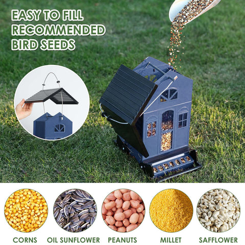 Birdkiss large-capacity 5lb seed feeder for frequent bird visits.