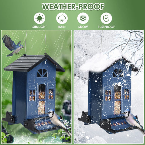 Birdkiss weight-activated perch preventing squirrel access while birds feed.