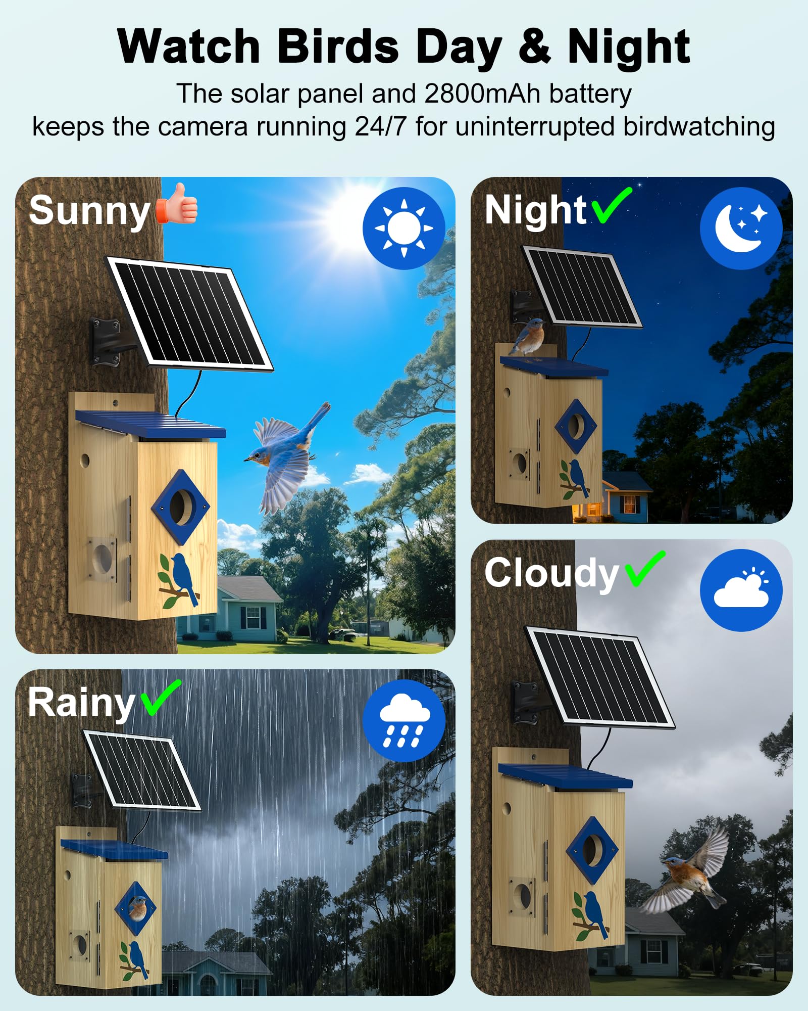 BirdoorKam 2K HD camera preserves natural nesting with no red glare during night.