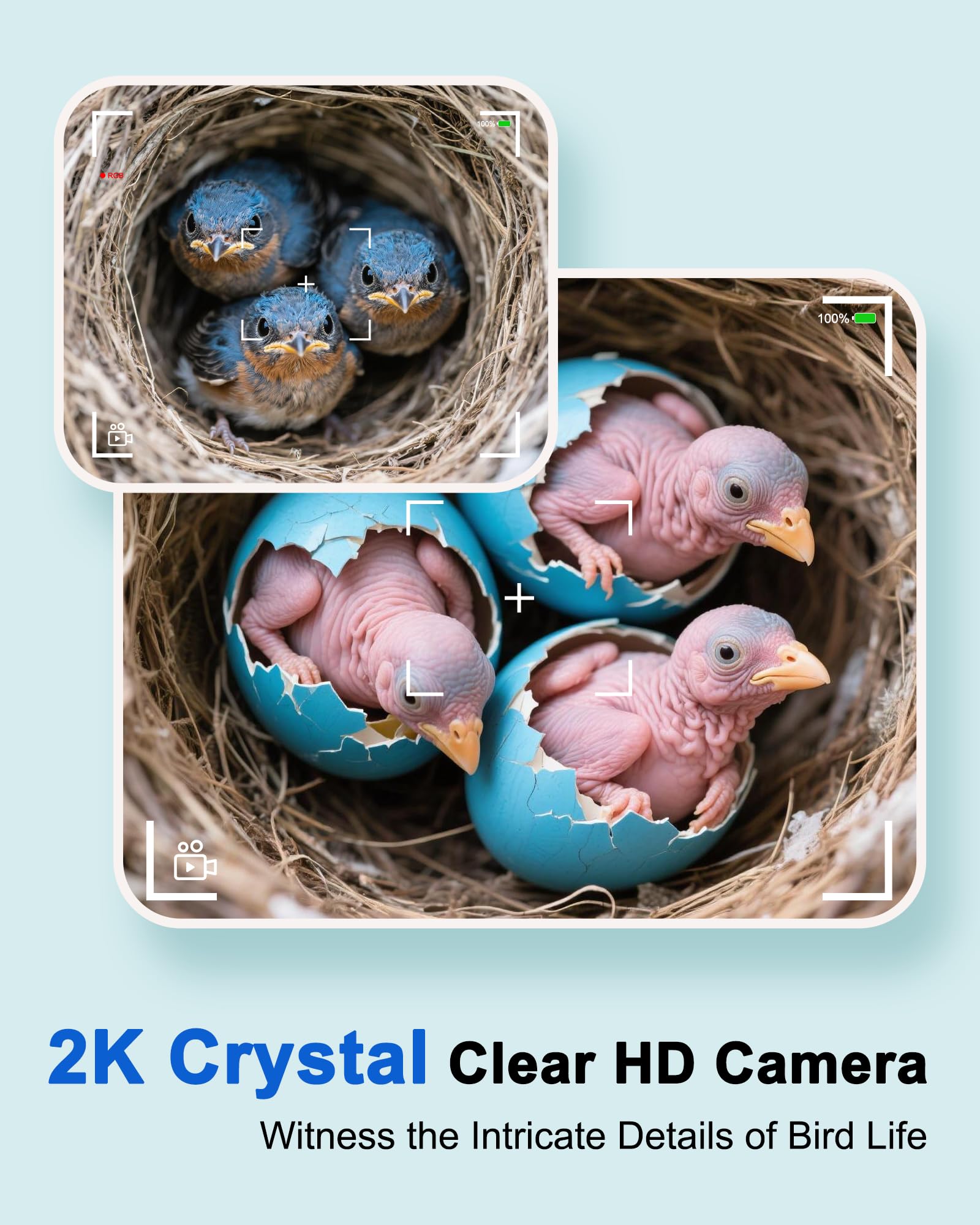 BirdoorKam separate camera bay for undisturbed nesting and safe camera access.