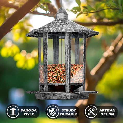 Birdream 5-lb capacity two-pack feeder keeps seeds ready for daily visits