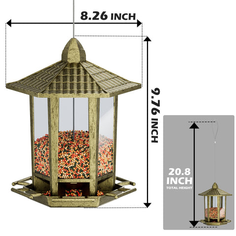Birdream feeder with 5-pound seed capacity lasts 1–3 days.
