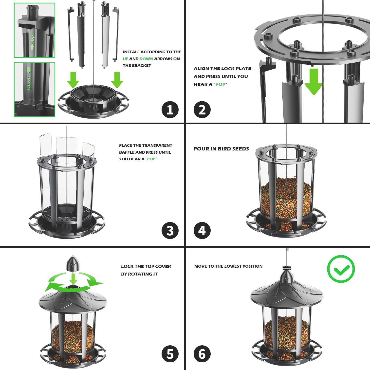 Birdream feeder capacity 5 pounds promotes longer feeding without frequent refills.