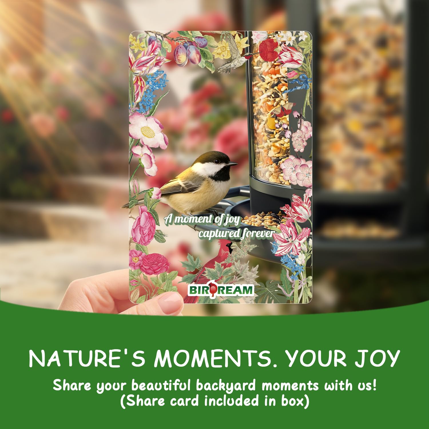 Birdream feeder uses sunflower and Niger seeds to attract diverse backyard birds.