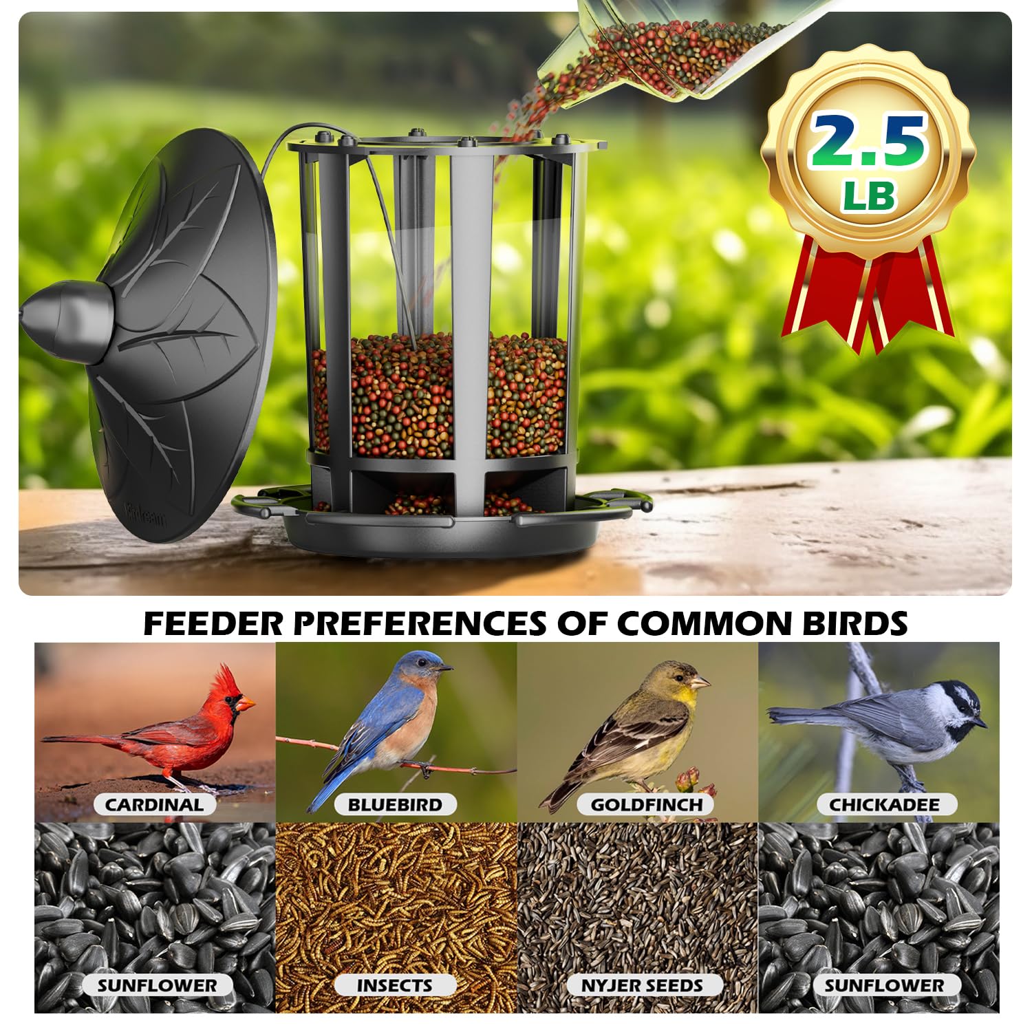 Birdream two-pack hanging setup shown outdoors, convenient double feeder option.