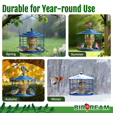 Birdream drainage holes promote cleaner feeding and less spoilage