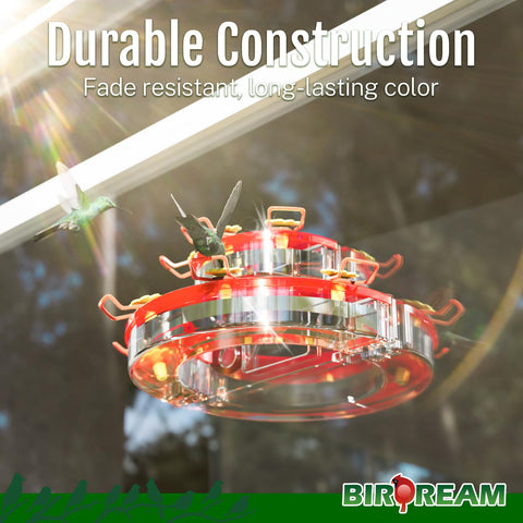Birdream feeder ports allow multiple hummingbirds to feed neatly.