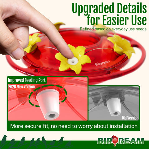 Birdream wide-mouth feeder for easy filling and quick cleaning