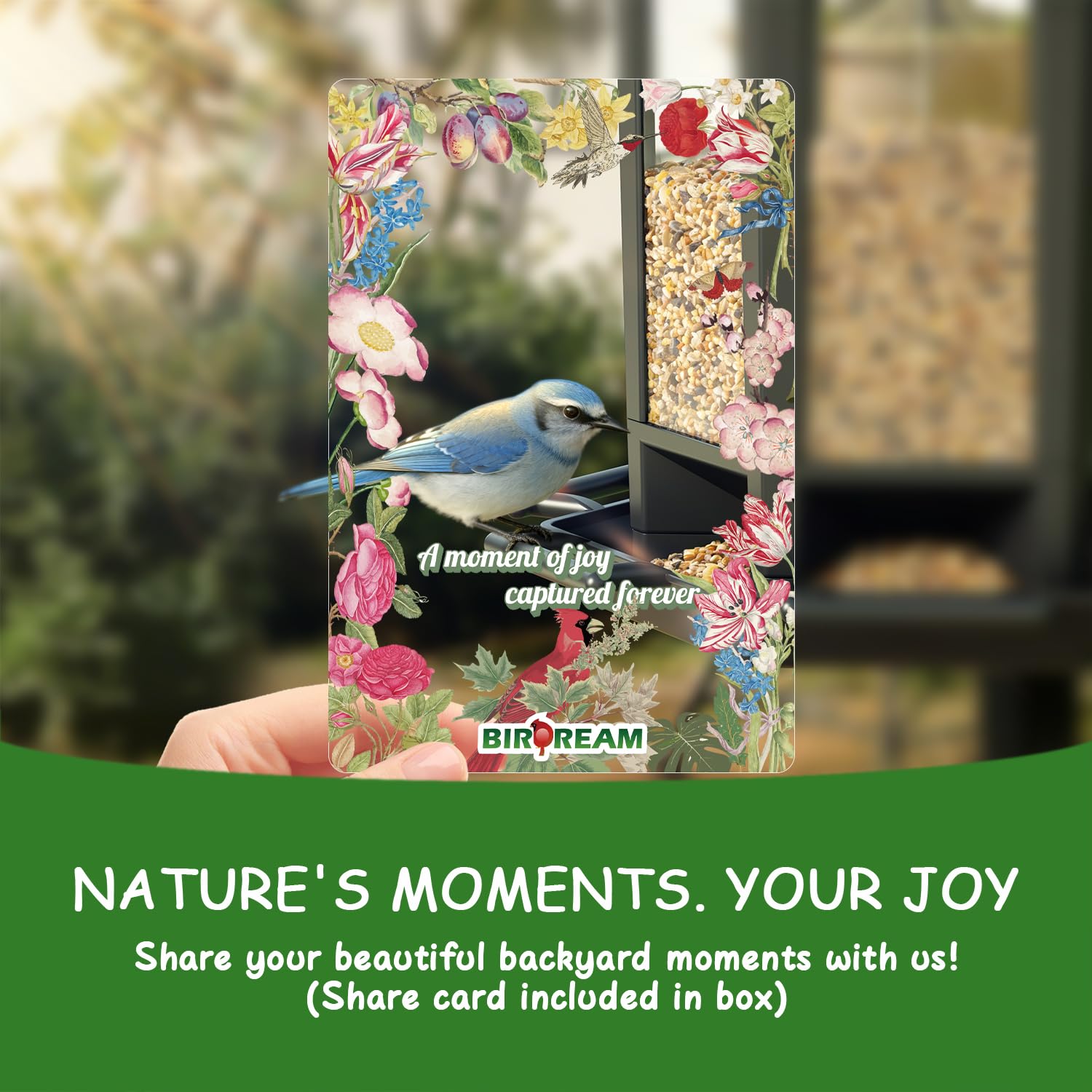 Birdream lifetime warranty and VIP support for confident purchase.