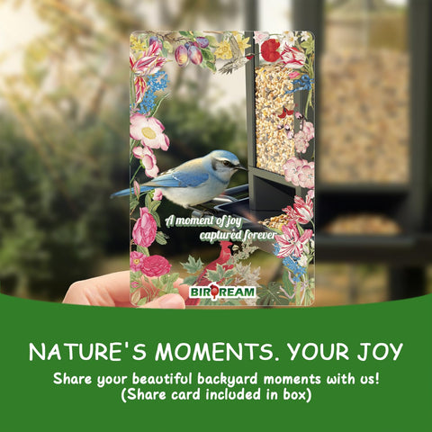Birdream lifetime warranty and VIP support for confident purchase.