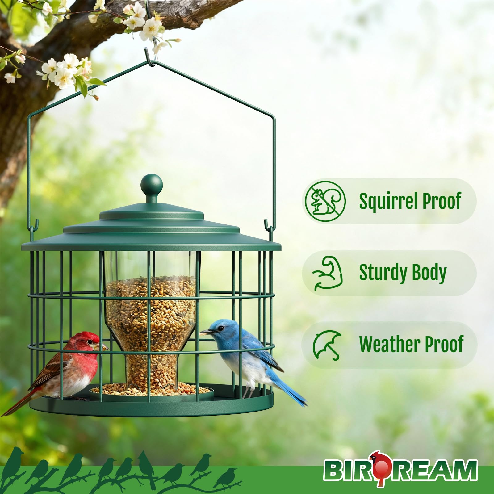 Close-up of Birdream metal cage showing protective squirrel-proof design.