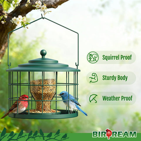 Close-up of Birdream metal cage showing protective squirrel-proof design.