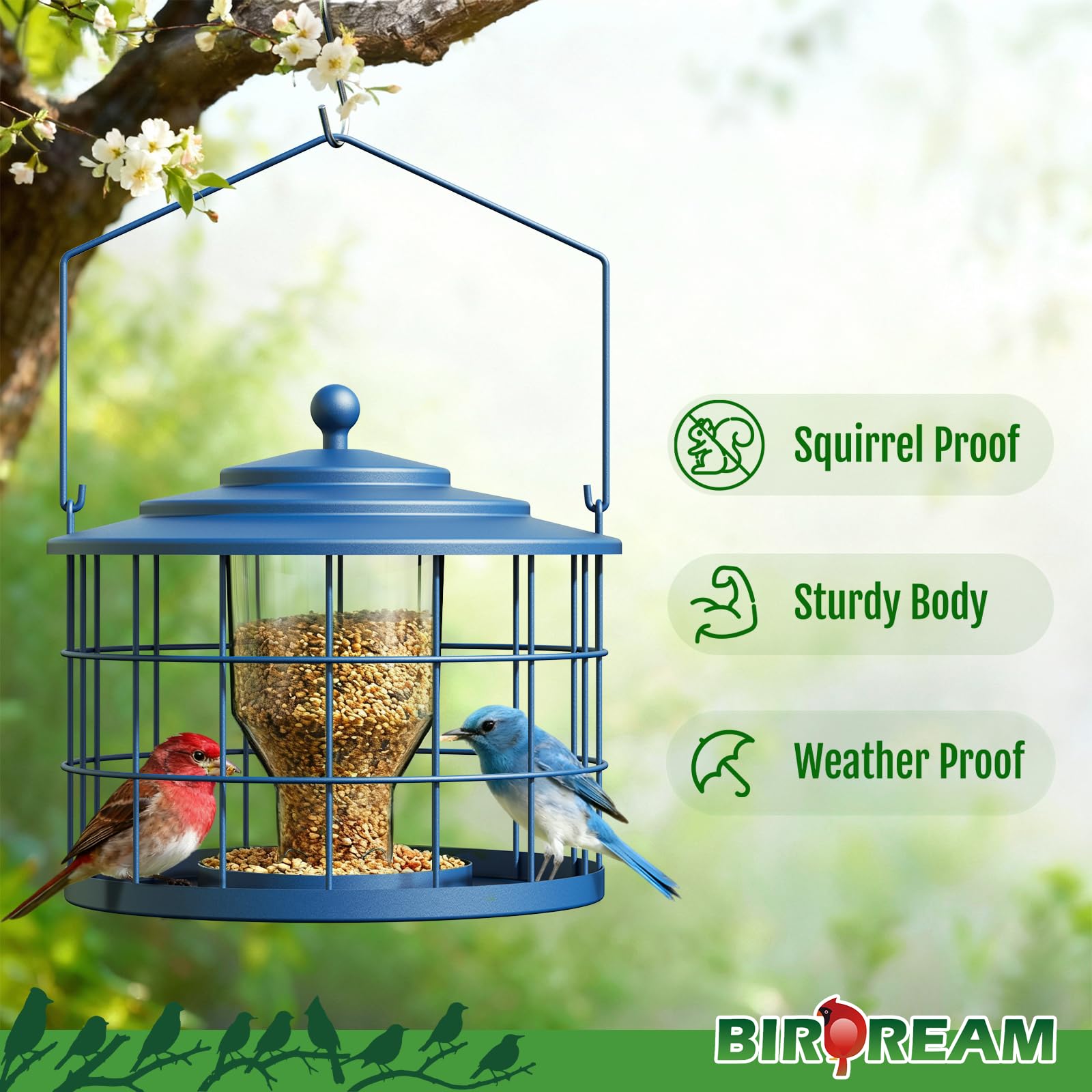 Birdream metal cage detail shows sturdy outdoor construction
