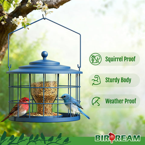 Birdream metal cage detail shows sturdy outdoor construction