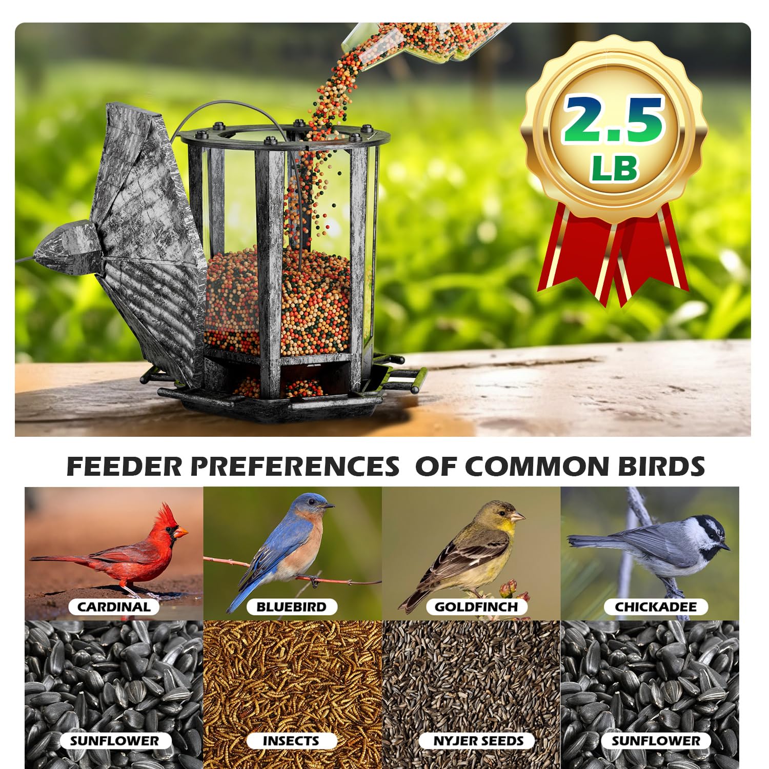 Birdream outdoor bird feeder in a sunny garden, inviting natural visitors