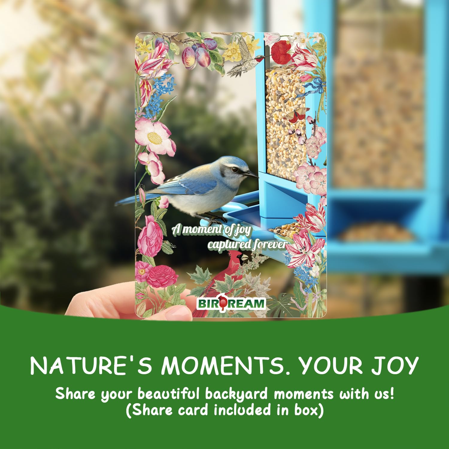 Birdream pagoda bird feeder easy refill—wide opening for quick replenishment