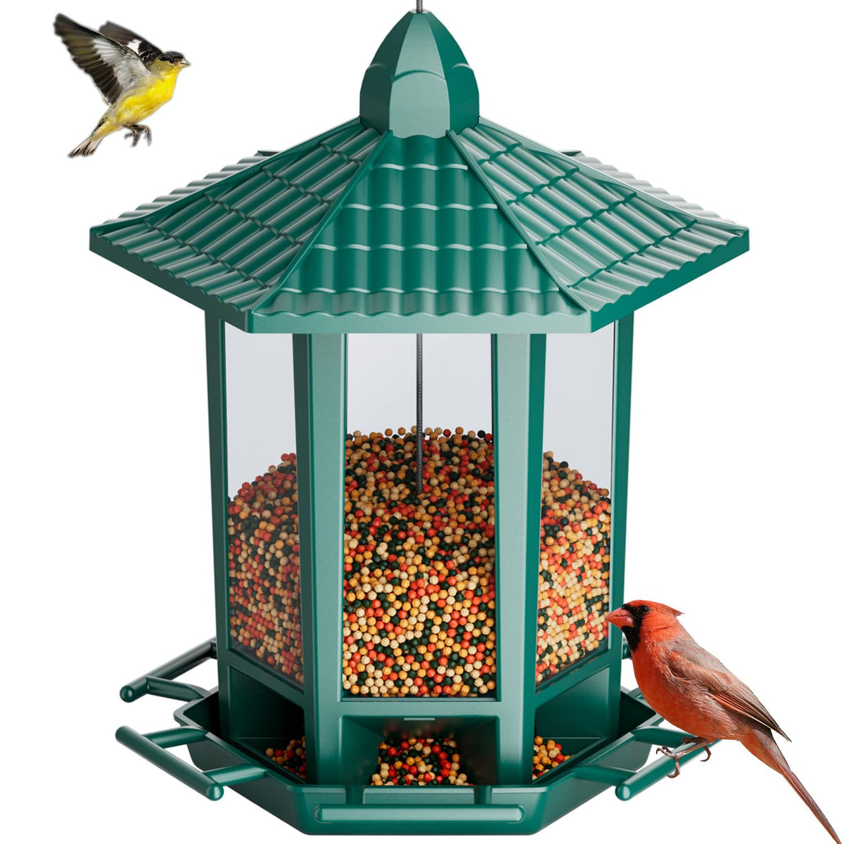 Birdream pagoda feeder assembly in minutes for family-friendly setup