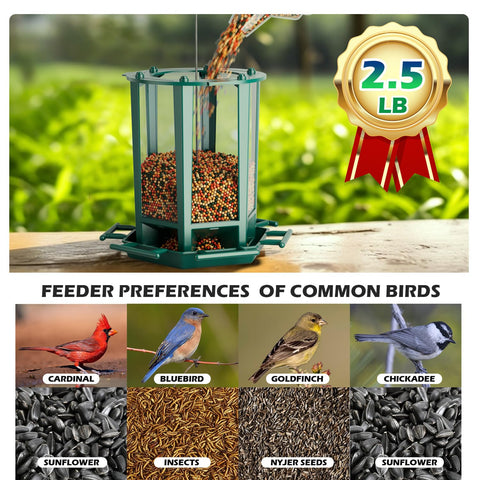 Birdream pagoda feeder with 2.5 lb capacity attracts cardinals and goldfinches