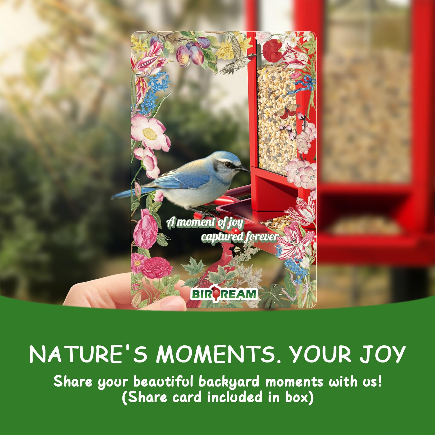 Birdream transparent seed panel for easy monitoring