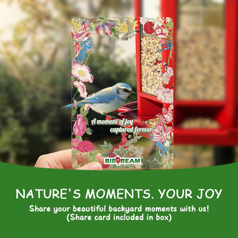 Birdream transparent seed panel for easy monitoring