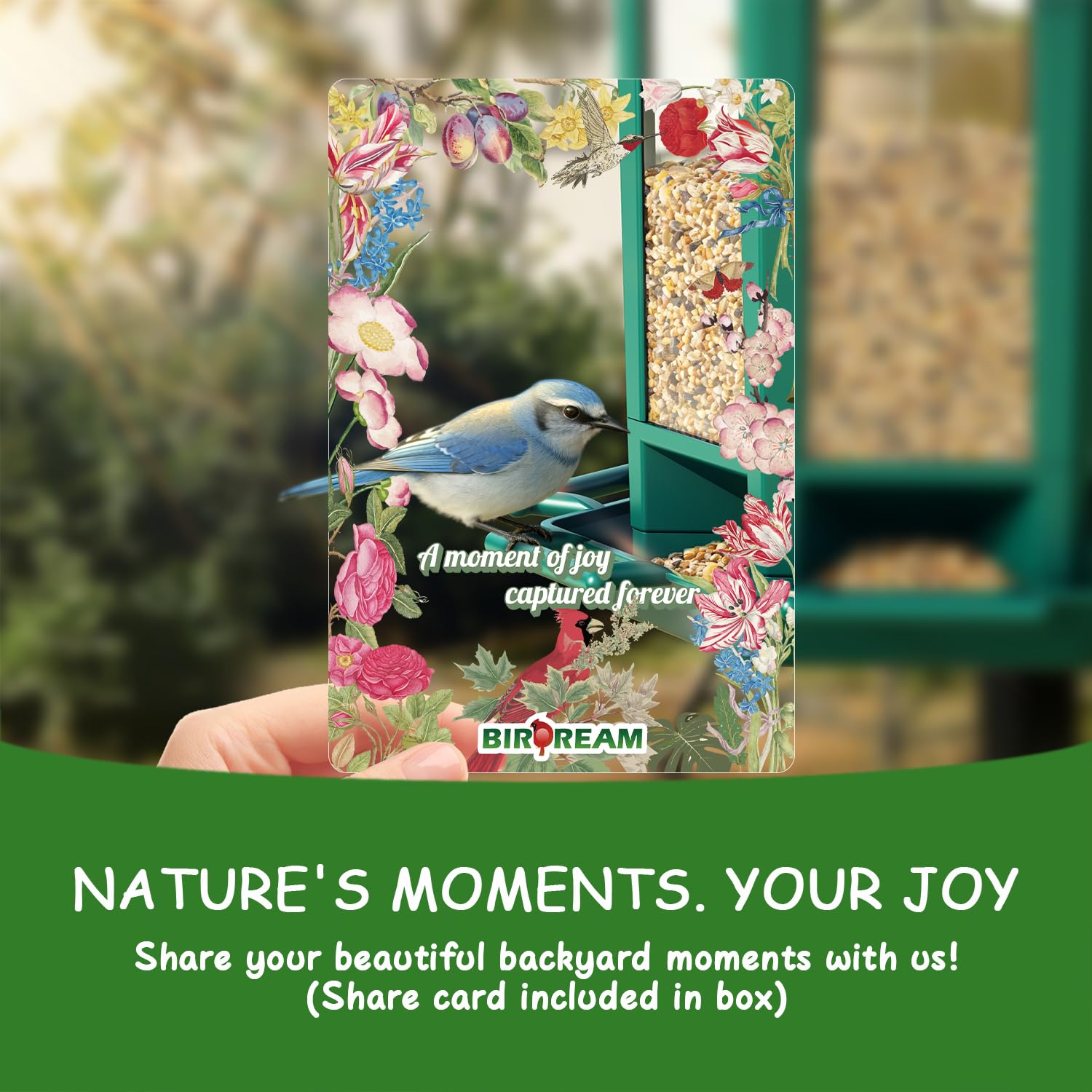 Birdream pagoda makes a thoughtful nature gift for backyard watchers