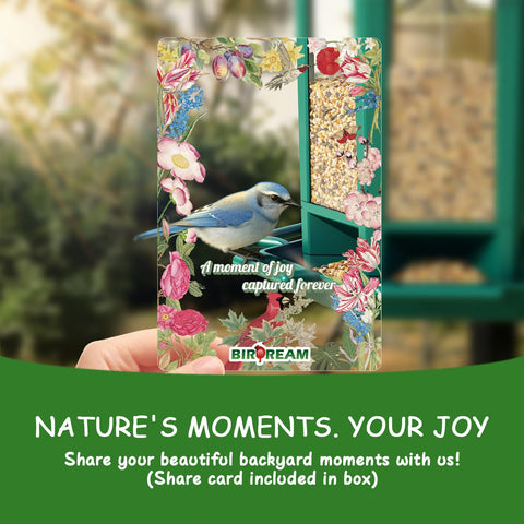 Birdream pagoda makes a thoughtful nature gift for backyard watchers