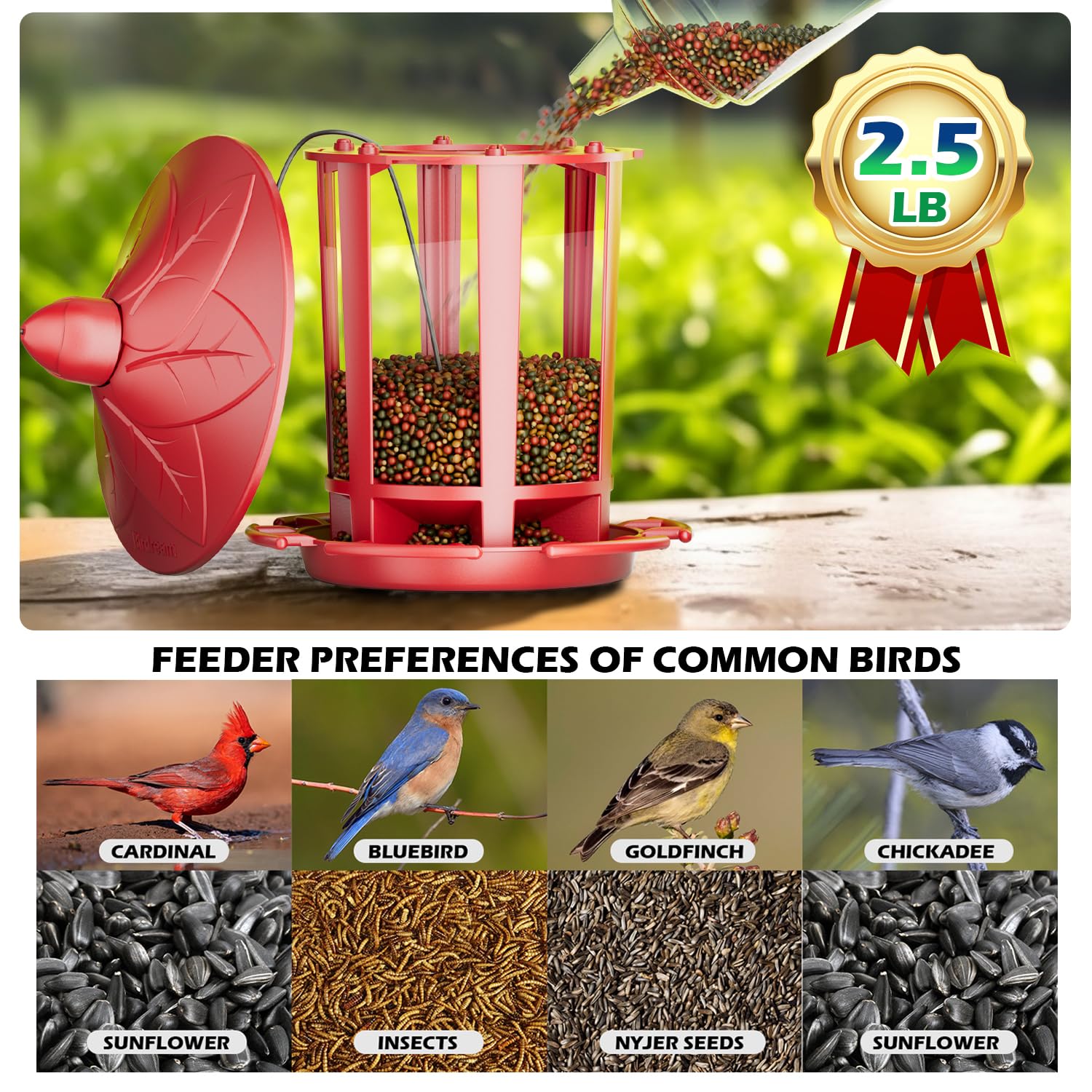 Birdream seed-attracting feeder draws cardinals and goldfinches with seeds.