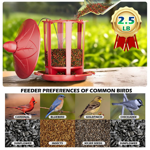Birdream seed-attracting feeder draws cardinals and goldfinches with seeds.
