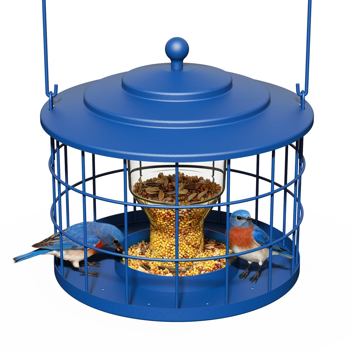 Birdream Squirrel-Proof Bird Feeder Cage deters squirrels at the feeding station