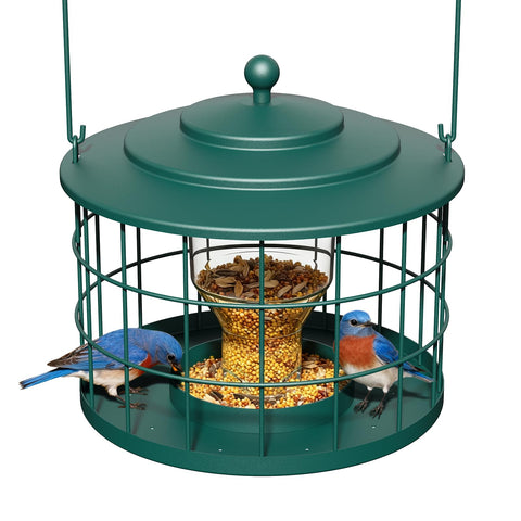 Birdream squirrel-proof bird feeder outdoors in green keeps seed safe for small birds.