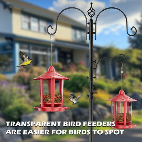 Birdream squirrel-proof design protects seeds while birds visit.