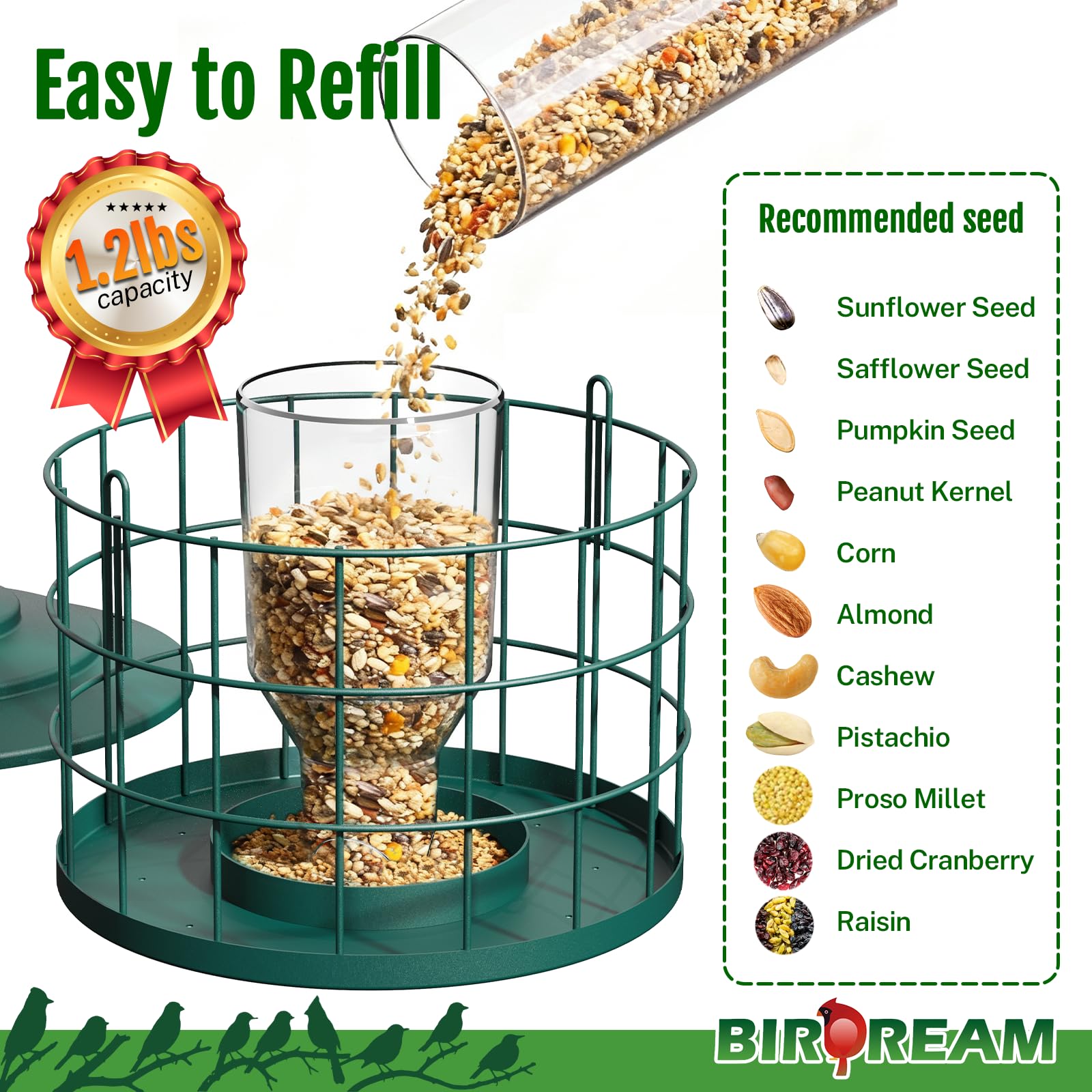 Birdream feeder featuring starling-resistant openings for calmer finch and chickadee feeding.