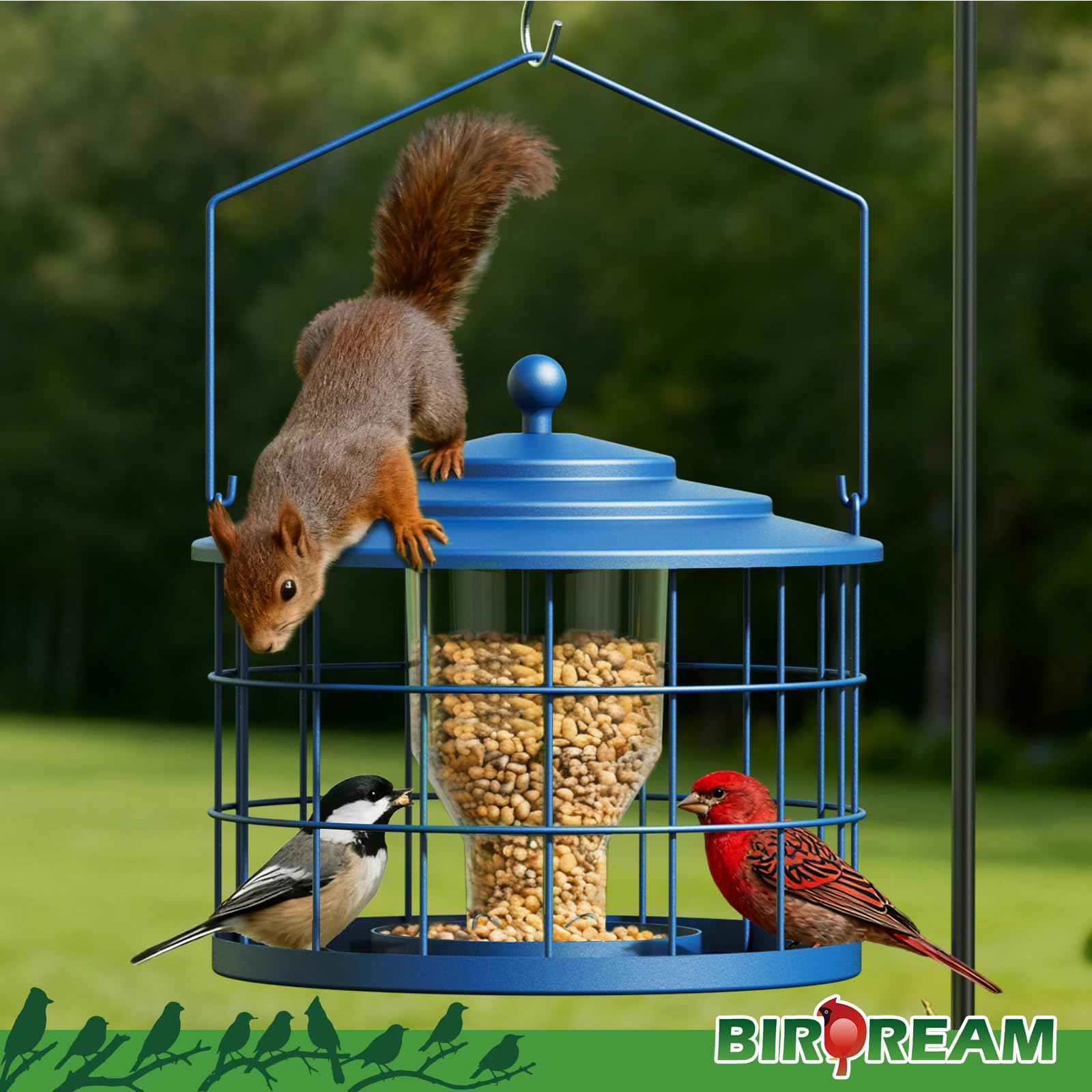 Birdream weatherproof feeder with lid and drainage keeps seed dry