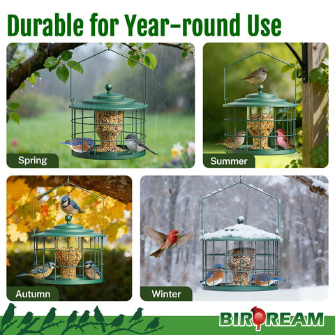 Birdream weatherproof feeder with drainage holes stays drier after rain.