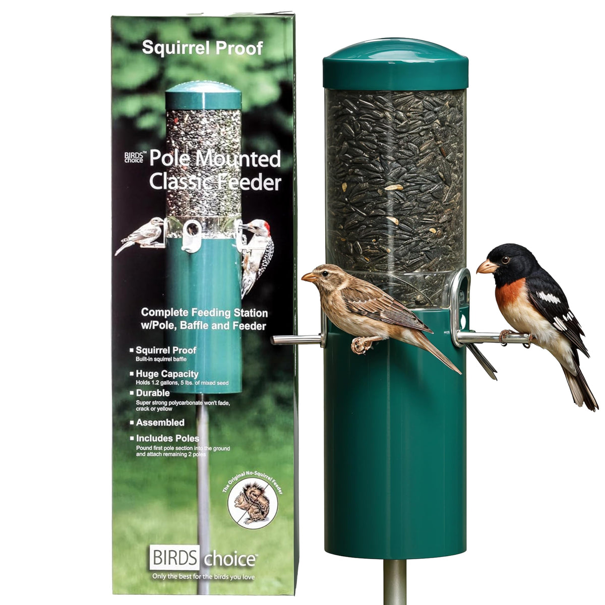 Birds Choice classic squirrel-proof feeder with pole mount protects seed from squirrels.