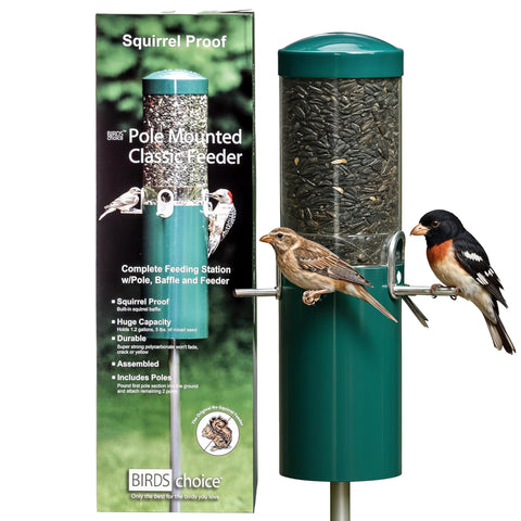 Birds Choice classic squirrel-proof feeder with pole mount protects seed from squirrels.