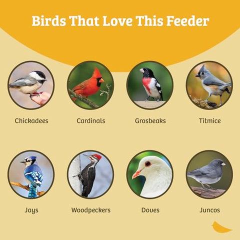 Birds Choice pole reaches 5-ft-8-in height for safe, accessible viewing.