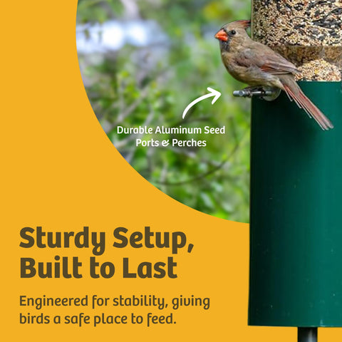 Birds Choice tube measures 6W-12L with 23H baffle for feeding space.
