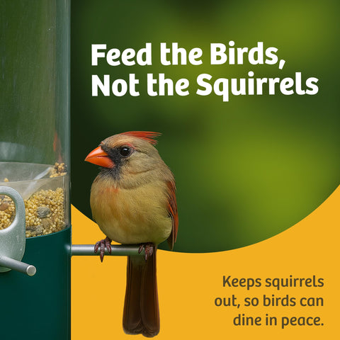 Birds Choice UV-resistant polycarbonate tube performs well in sun and rain.