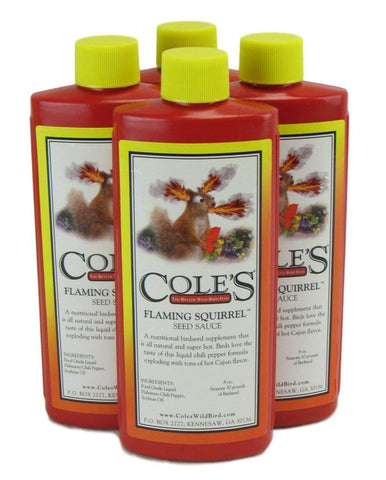 Bird's Cole's Flaming Squirrel Oil bottle; attracts diverse wild birds and deters squirrels.