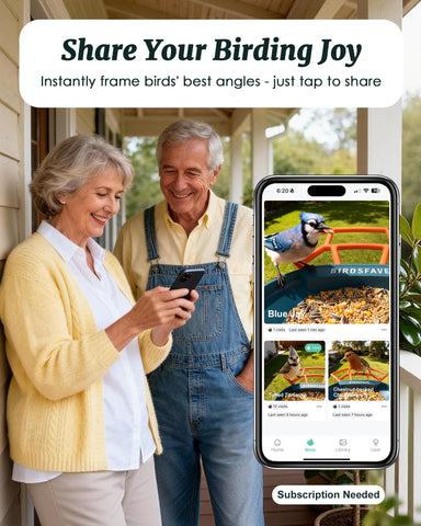 Birdsfave 2K live video capture showing visiting birds in real time.