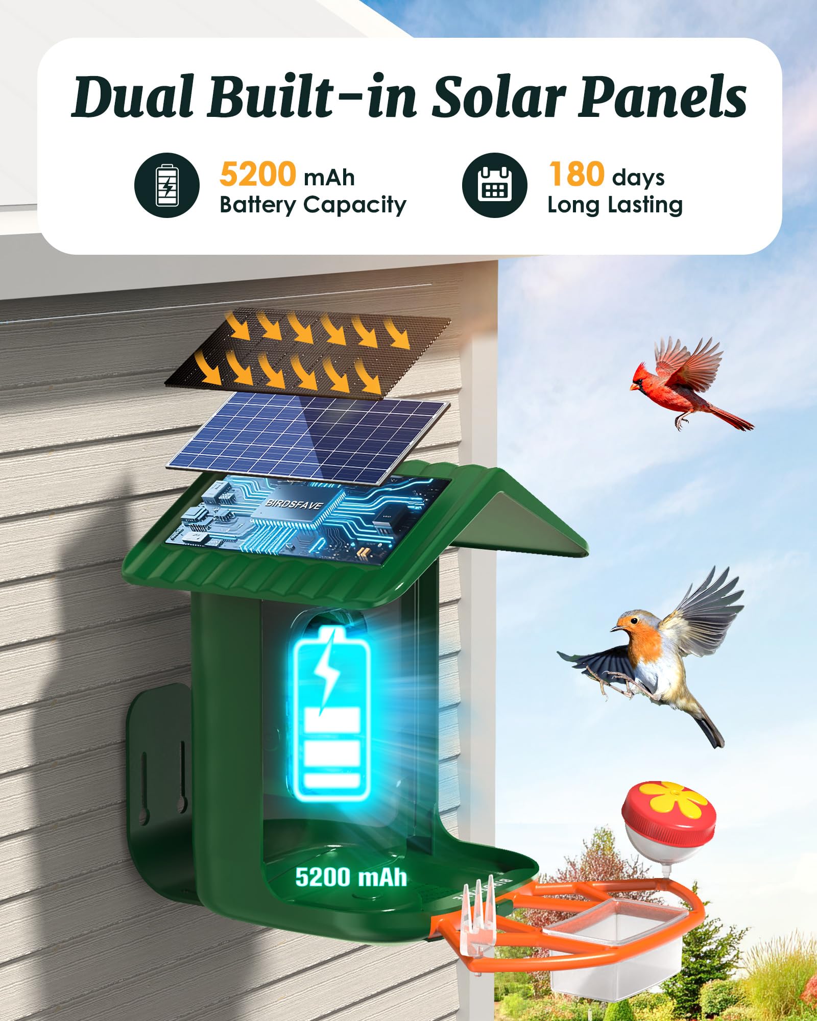 BIRDSFAVE 32GB storage saves videos and photos for later review