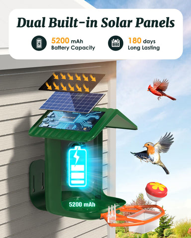 BIRDSFAVE 32GB storage saves videos and photos for later review