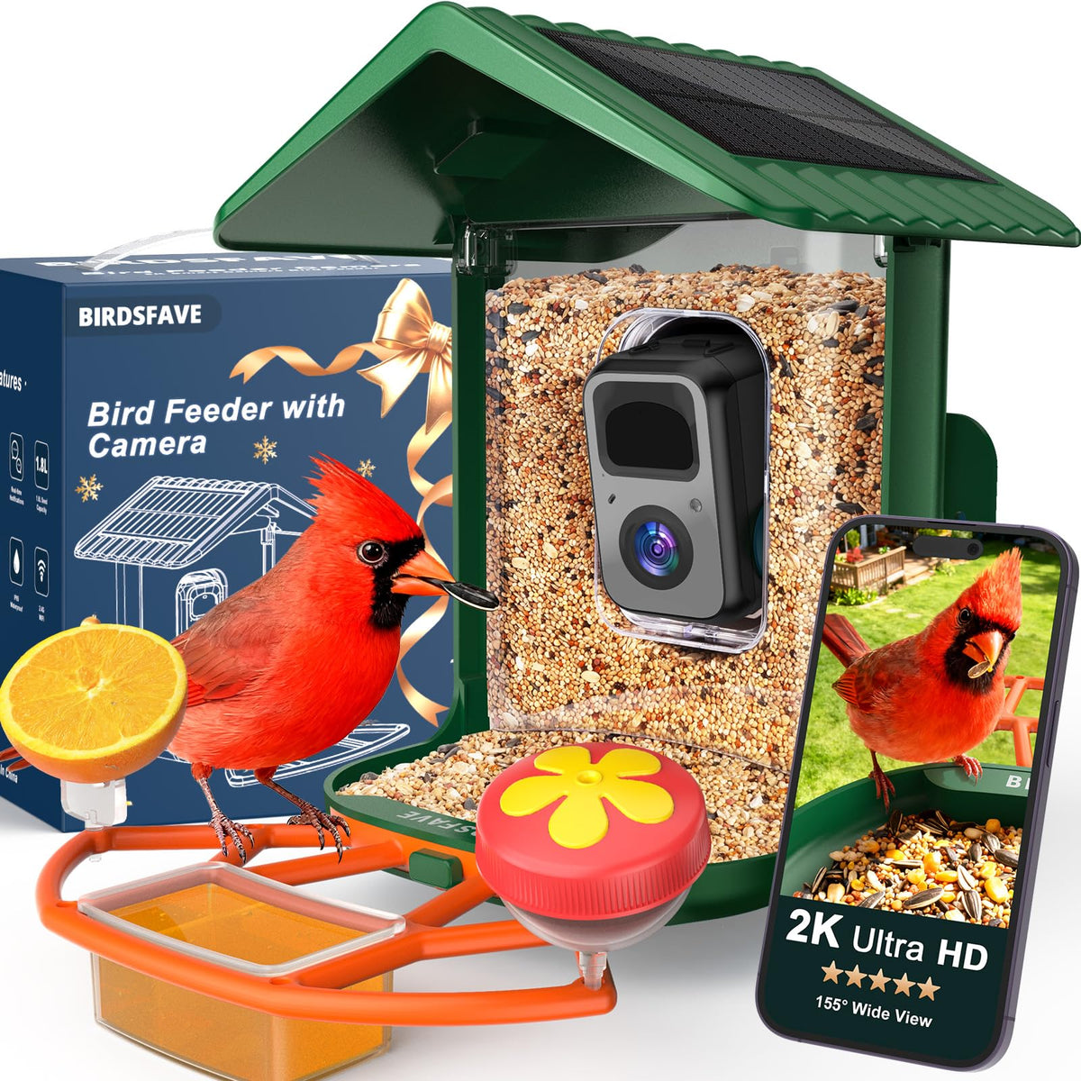 BIRDSFAVE camera-enabled feeder streams 2K footage for backyard birdwatching