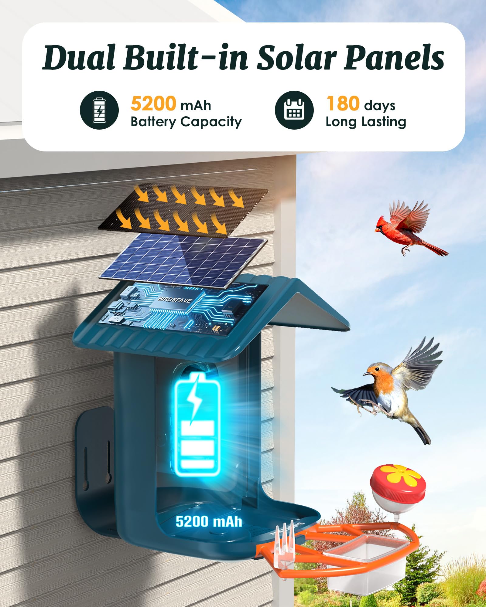 Birdsfave night vision feed after dark reveals bird activity.